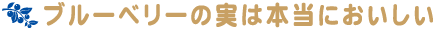 ブルーベリーはおいしい