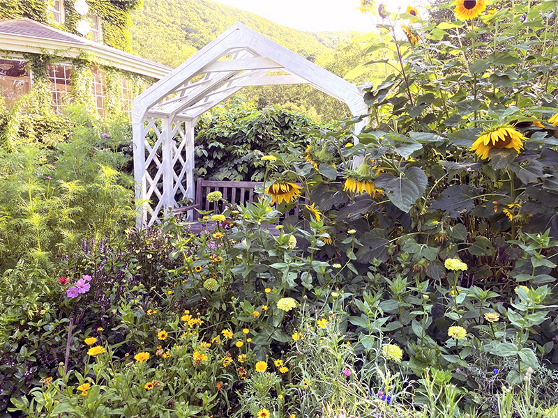 51029円 新品本物 植木鉢 野菜のハーブの花を育てる3つのコンテナが付いている大きい上げられた庭のベッドの垂直の高められた自立型プランター 植栽ボックス花植物