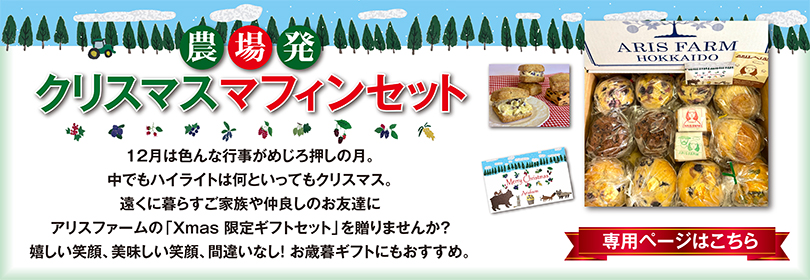 ���ꥹ�ޥ����եȥ��å�