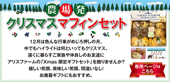 ���ꥹ�ޥ����եȥ��å�